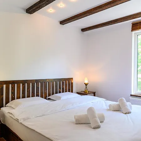 Penthouse Pensiunea Casa Bono Braşov Esterno foto