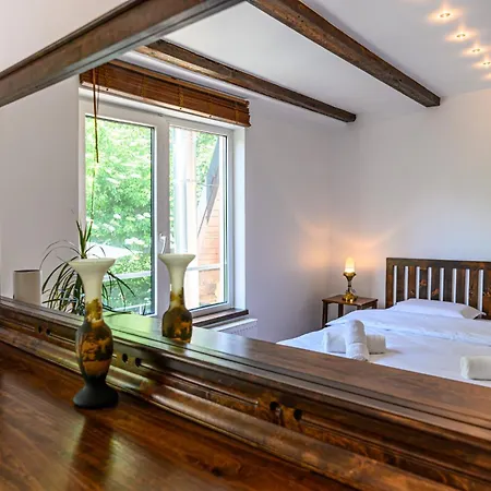 Penthouse Pensiunea Casa Bono Braşov Esterno foto