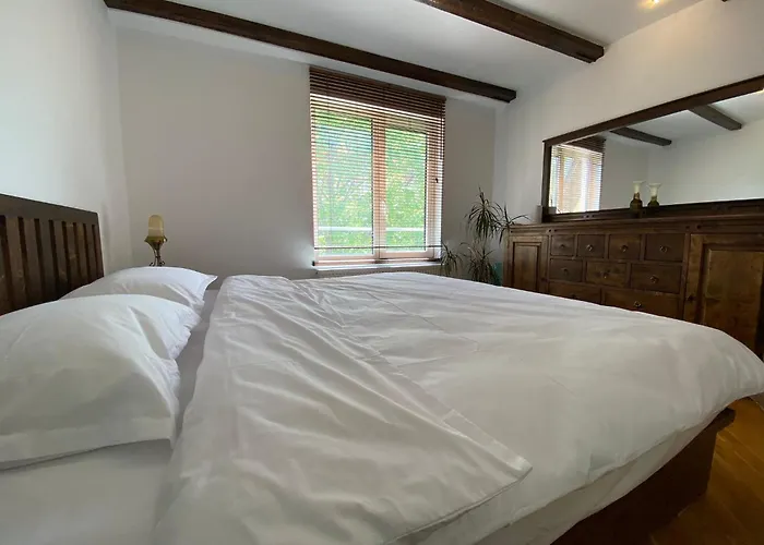 Penthouse Pensiunea Casa Bono