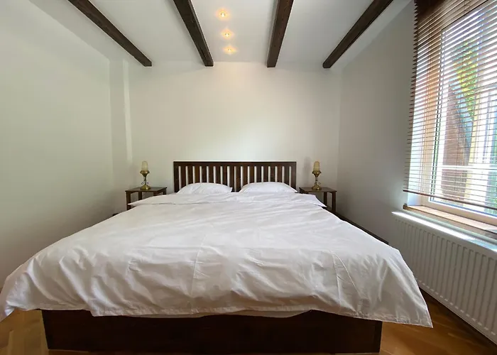 Penthouse Pensiunea Casa Bono