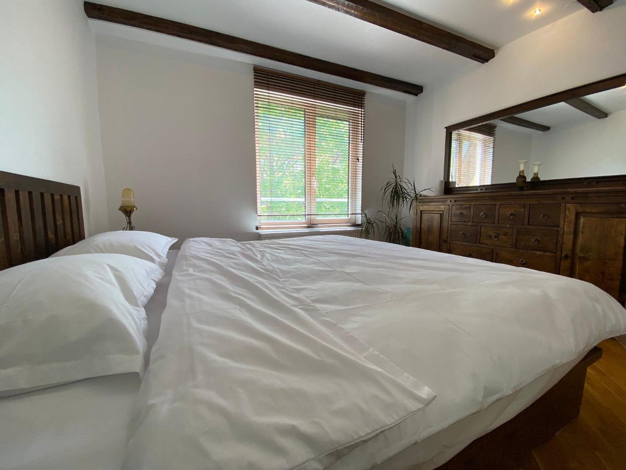 Penthouse Pensiunea Casa Bono דירה *