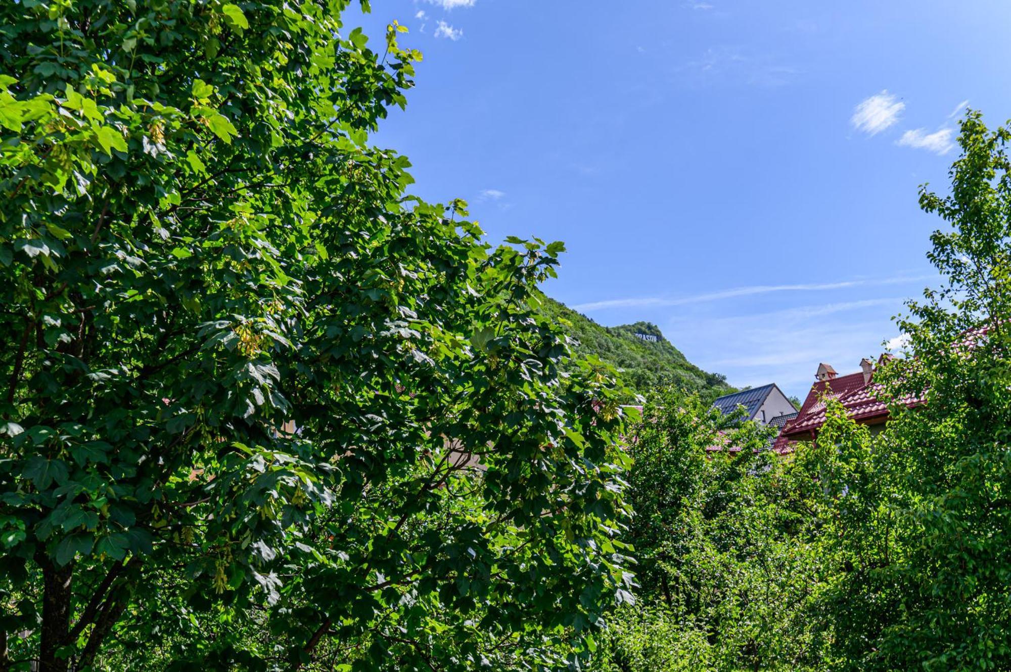 Penthouse Pensiunea Casa Bono Braşov